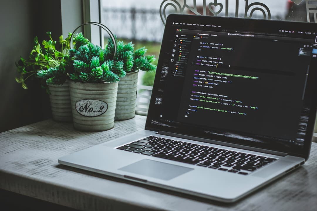 Web development team